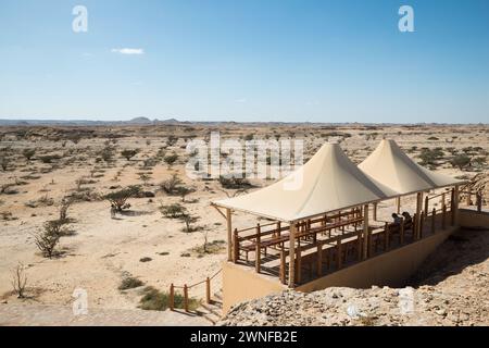 Wadi Dawkah, Gouvernement Dhofar, Oman Stockfoto