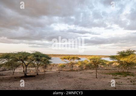 Serengeti, Tansania, 26. Oktober 2023. Landschaft am Ende des Tages rund um den Lake Masek Stockfoto