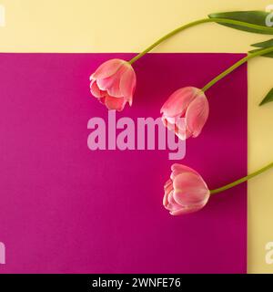 Kreatives Layout aus Berührungen mit Kopierraum. Naturhintergrund. Saison Minimal Idee. Stockfoto