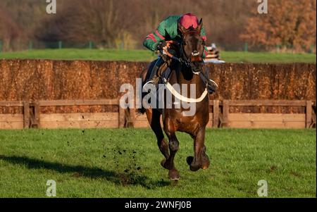 Densworth gewinnt nach der Windoperation am Grimthorpe Chase Day, der Get Raceday Ready Handicap Hürde für Trainer Ben Pauling, Jockey Ben Jones und das OAP Syndicate. Stockfoto