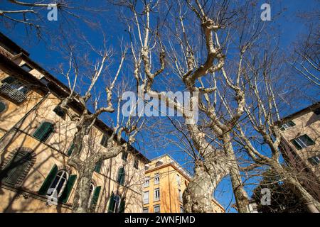 Äußere typisch italienischer Gebäude an der Piazza Napoleone im historischen Zentrum der mittelalterlichen Stadt Lucca, Italien Stockfoto