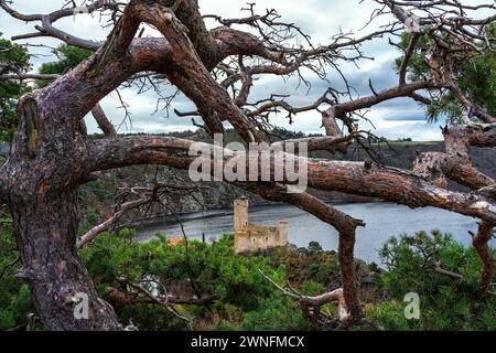 Das Schloss Grangent befindet sich in der Stadt Saint-Just-Saint-Rambert auf einer kleinen Insel im gleichnamigen See. Frankreich Stockfoto