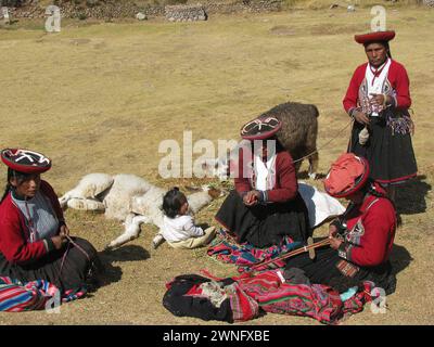 Cuzco, Peru - 11. juli 2008 - peruanische Frauen in traditioneller Kleidung mit Lhama Stockfoto