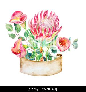 Protea, Calla Lilien Aquarell. Handgezeichnete Illustration eines Straußes mit Eukalyptuszweigen, Banner für Text, isoliert auf weißem Hintergrund. Karten Stockfoto