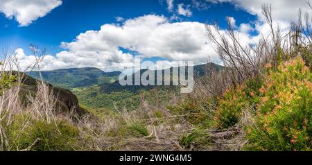 Blick auf die Berge im Abschnitt Binna Burra des Lamington National Park, Queensland, Australien. Stockfoto