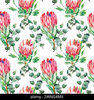 Protea Aquarell, nahtloses Muster. Handgezeichnete Illustration der rosa Blume, Eukalyptus, isoliert auf weißem Hintergrund. Designelement für Einladungen, Stockfoto