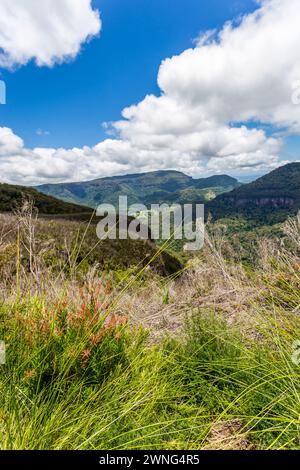 Blick auf die Berge im Abschnitt Binna Burra des Lamington National Park, Queensland, Australien. Stockfoto