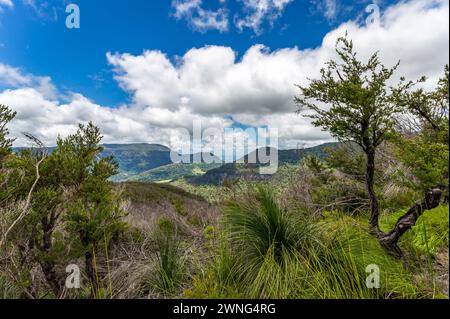 Blick auf die Berge im Abschnitt Binna Burra des Lamington National Park, Queensland, Australien. Stockfoto