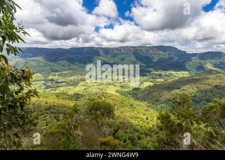 Blick auf die Berge im Abschnitt Binna Burra des Lamington National Park, Queensland, Australien. Stockfoto