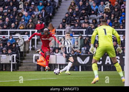 Newcastle upon Tyne, Großbritannien. März 2024. Newcastle upon Tyne, England, 2. März 2024 Toti of Wolves in Aktion während des Premier League-Fußballspiels zwischen Newcastle United und Wolverhampton Wanderers im St James Park in Newcastle upon Tyne, England. (Richard Callis/SPP) Credit: SPP Sport Press Photo. /Alamy Live News Stockfoto