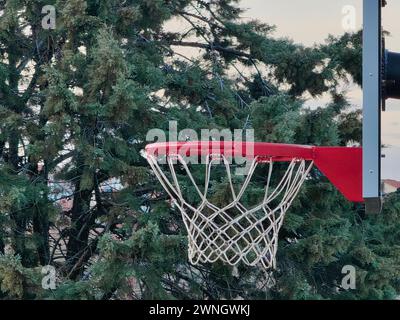 Basketball-Gelassenheit, Basketball im Grünen. Stockfoto