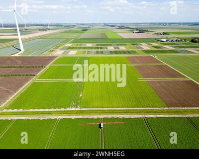 Luftaufnahme einer Maschine, die chemische Zusätze auf Feldfrüchte in einem landwirtschaftlichen Feld sprüht Stockfoto