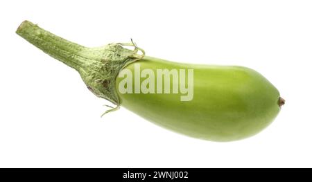 Aubergine isoliert auf weißem Hintergrund Stockfoto