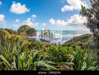 Coastal Te Henga Walkway : Bethells Beach, Neuseeland – Panoramablick vom Aussichtspunkt auf die ruhige Landschaft der Black Sand Shores und der majestätischen Green Cliffs Stockfoto