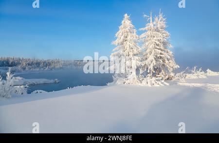 Frostbedeckte Bäume am Ufer eines ungefrorenen Sees. Winterlandschaft am Ufer eines Stausees in Südjakutien, Russland Stockfoto
