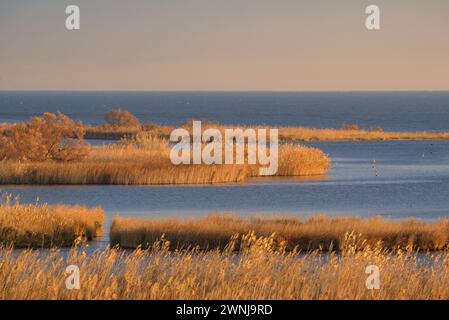 Wintersonnenaufgang vom Aussichtspunkt Zigurat an der Mündung des Ebro-Flusses im Ebro-Delta (Tarragona, Katalonien, Spanien) Stockfoto