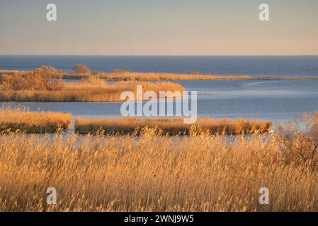 Wintersonnenaufgang vom Aussichtspunkt Zigurat an der Mündung des Ebro-Flusses im Ebro-Delta (Tarragona, Katalonien, Spanien) Stockfoto