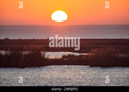 Wintersonnenaufgang vom Aussichtspunkt Zigurat an der Mündung des Ebro-Flusses im Ebro-Delta (Tarragona, Katalonien, Spanien) Stockfoto