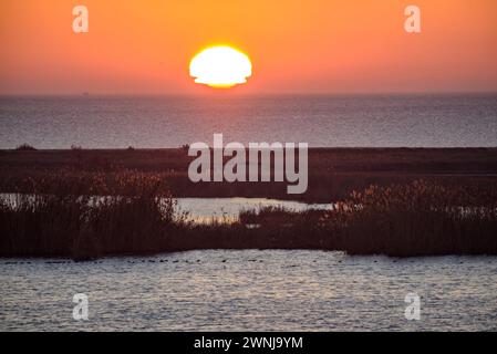 Wintersonnenaufgang vom Aussichtspunkt Zigurat an der Mündung des Ebro-Flusses im Ebro-Delta (Tarragona, Katalonien, Spanien) Stockfoto