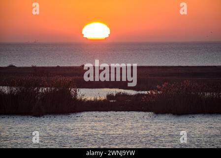 Wintersonnenaufgang vom Aussichtspunkt Zigurat an der Mündung des Ebro-Flusses im Ebro-Delta (Tarragona, Katalonien, Spanien) Stockfoto