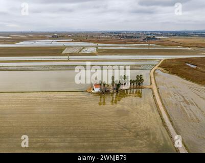 Von Wasser überflutete Reisfelder in der Nähe des Teichs Bassa de les Olles, nördlich des Ebro-Deltas, an einem bewölkten Wintertag (Tarragona, Katalonien, Spanien) Stockfoto