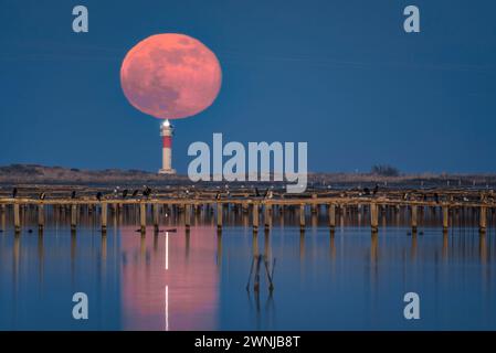 Vollmondaufgang über dem Fangar-Leuchtturm im Ebro-Delta (Tarragona, Katalonien, Spanien) ESP: Salida de la Luna llena sobre el faro del Fangar Stockfoto