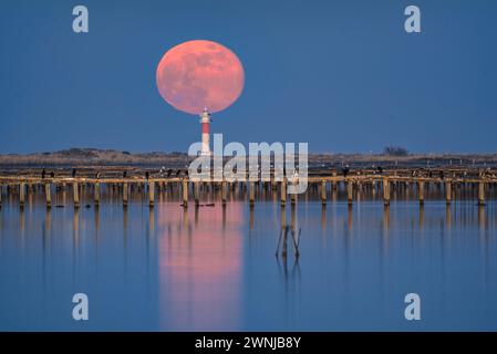 Vollmondaufgang über dem Fangar-Leuchtturm im Ebro-Delta (Tarragona, Katalonien, Spanien) ESP: Salida de la Luna llena sobre el faro del Fangar Stockfoto