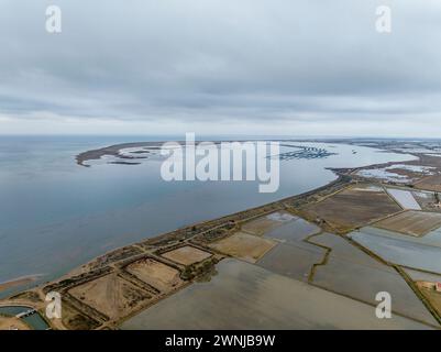 Von Wasser überflutete Reisfelder in der Nähe des Teichs Bassa de les Olles, nördlich des Ebro-Deltas, an einem bewölkten Wintertag (Tarragona, Katalonien, Spanien) Stockfoto