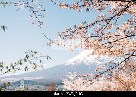 Fuji-Berg mit Kirschblüten aus dem Arakurayama Sengen Park in Yamanashi, Japan Stockfoto