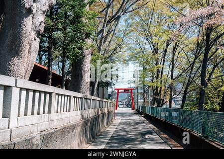 Yamanashi, Japan - 9. April 2023: Shimoyoshida Fujisan Simomiya Omuro Sengen Jinja Torii Gate Stockfoto