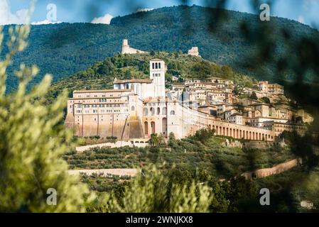Blick durch Olivenzweige auf die historische Stadt Assisi mit der Basilika St. Franziskus an den Hängen des Monte Subasio, Umbrien, Italien Stockfoto