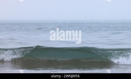 Welle bricht am walisischen Strand, Großbritannien Stockfoto