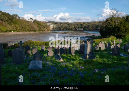 St Tysilio's Church and Graveyard auf Church Island neben der Menai Strait, Anglesey, Nordwales. Stockfoto