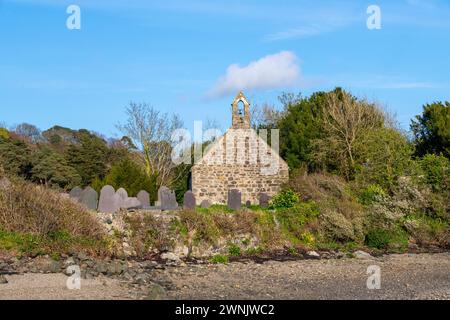 St Tysilio's Church and Graveyard auf Church Island neben der Menai Strait, Anglesey, Nordwales. Stockfoto