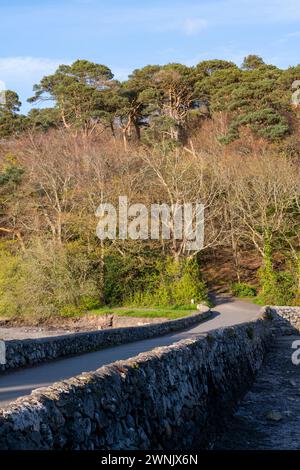 Causeway-Pfad zur Church Island in der Nähe der Menai Bridge, Anglesey, Nordwales Stockfoto