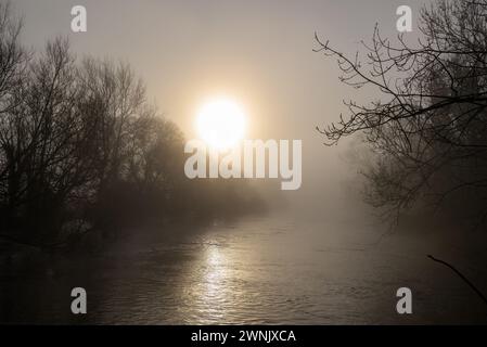 Avon Valley, Fordingbridge, Hampshire, Vereinigtes Königreich, 3. März 2024: Wetter. Frost und Nebel am frühen meteorologischen Frühlingsmorgen. Der Wasserstand des Flusses Avon ist nach jüngstem Regen weiterhin sehr hoch. Quelle: Paul Biggins/Alamy Live News Stockfoto