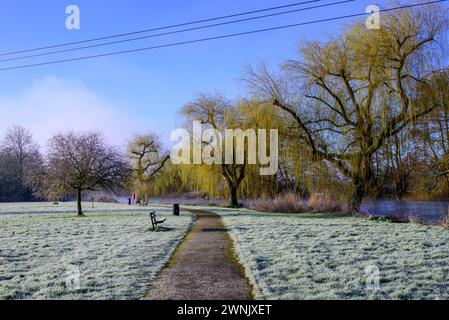 Frostiger Park am Morgen des März mit Weiden und Fluss, Fordingbridge, Hampshire, Großbritannien, 3. März 2024: Stockfoto