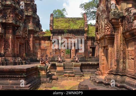Banteay Srei Tempel im archäologischen Park Angkor in der Nähe von Siem Reap, Kambodscha Stockfoto