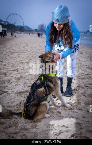 Heringsdorf, Deutschland. März 2024. Schauspielerin Simone Thomalla beim „Baltic Lights“-Schlittenhund-Rennen am Ostseestrand auf der Insel Usedom. Um Spenden für die Welthungerhilfe zu sammeln, treten Profis und Prominente in Teams mit 500 Huskys am Strand gegeneinander an. Rund 60.000 Zuschauer werden am Wochenende an der mehrtägigen Wohltätigkeitsveranstaltung teilnehmen. Quelle: Jens Büttner/dpa/Alamy Live News Stockfoto