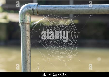 Windsor, Berkshire, Großbritannien. März 2024. Nach einem nebeligen Start in den Morgen verschwanden der Nebel und Nebel schnell und hinterließen einen schönen hellen und sonnigen Morgen in Windsor, Berkshire. Quelle: Maureen McLean/Alamy Live News Stockfoto