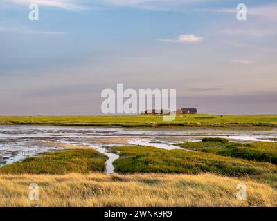 Ockelützwarft-Terp auf Hallig Hooge, Nordfriesland, Schleswig-Holstein, Deutschland Stockfoto