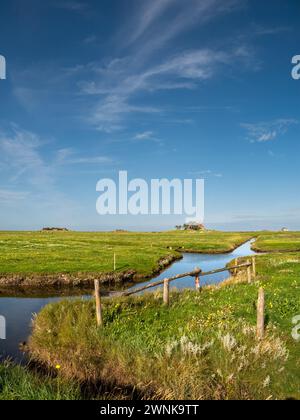 Landschaft mit Kirchwarft und Ockelützwarft auf Hallig Hooge, Nordfriesland, Schleswig-Holstein, Deutschland Stockfoto