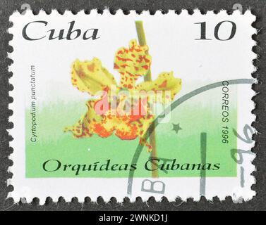 Gestempelte Briefmarke von Kuba, die Cyrtopodium punctatum Orchidee zeigt, um 1996. Stockfoto