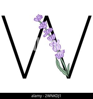 Lavendelblüte violett kleines Blumenalphabet für die Gestaltung von Karte oder Einladung. Vektor-Illustrationen, isoliert auf weißem Hintergrund für Sommer Blumen Stock Vektor
