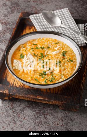 Hausgemachte, frische, heiße Hühnersuppe mit Pastina in Nahaufnahme auf einer Schüssel auf einem Holzbrett. Vertikal Stockfoto