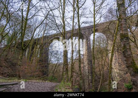 Healey Dell Nature Reserve im Winter Stockfoto