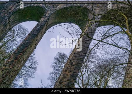 Healey Dell Nature Reserve im Winter Stockfoto