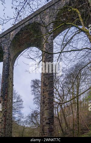 Healey Dell Nature Reserve im Winter Stockfoto