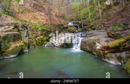 Healey Dell Nature Reserve im Winter Stockfoto