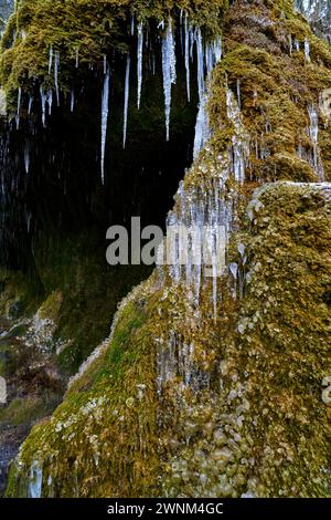 Wasserfall in der Wutachschlucht, Dietfurt Schleierfall, im Winter mit Eiszapfen, Schwarzwald, Baden-Württemberg, Deutschland Stockfoto